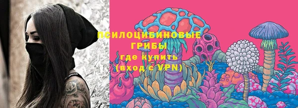 винт Осинники