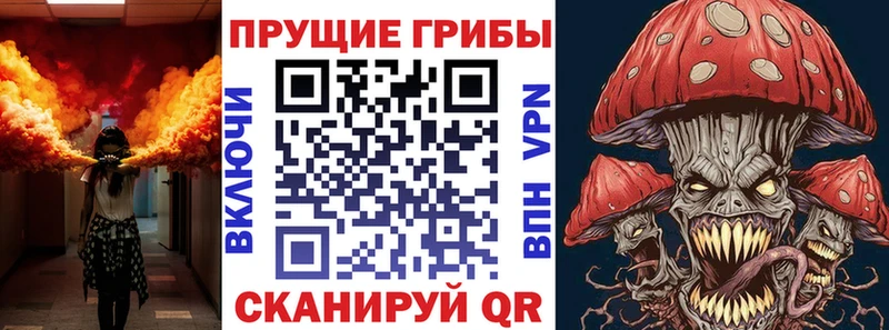 Псилоцибиновые грибы Psilocybe  Усолье 