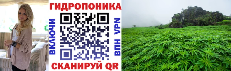 даркнет сайт  Усолье  Канабис THC 21% 